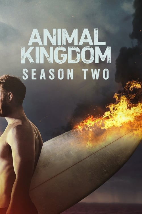 Animal Kingdom: 2×4