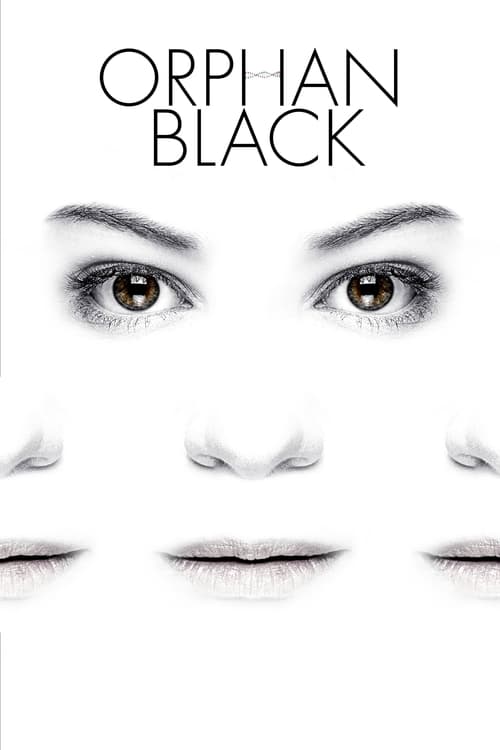 Orphan Black: 1×8