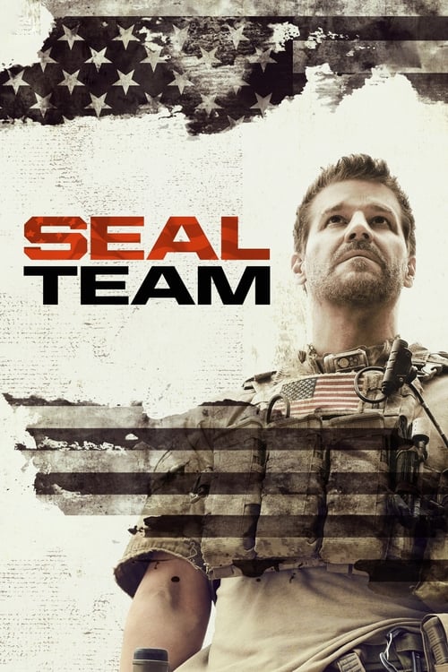 SEAL Team: 3×2