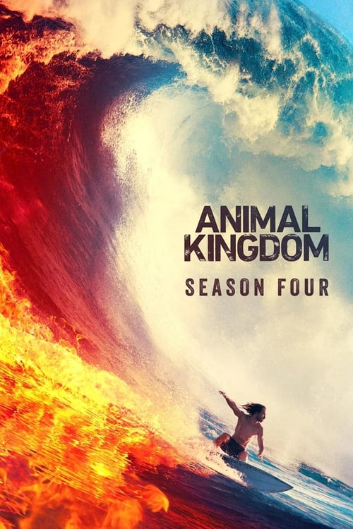 Animal Kingdom: 4×3