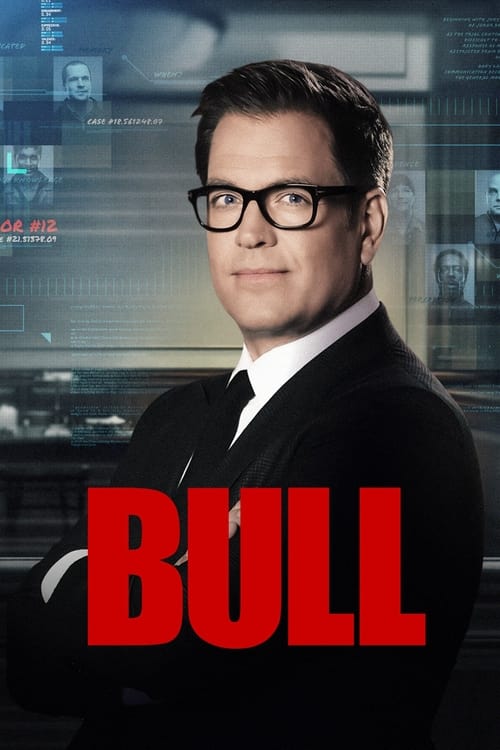Bull: 6×7