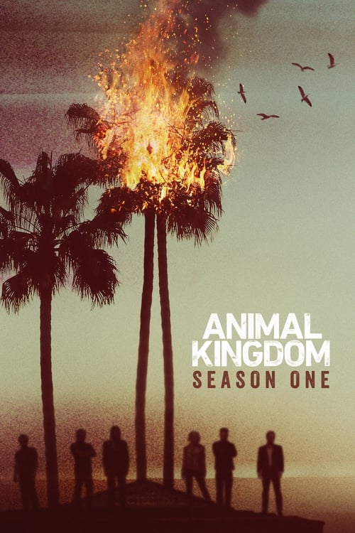 Animal Kingdom: 1×9