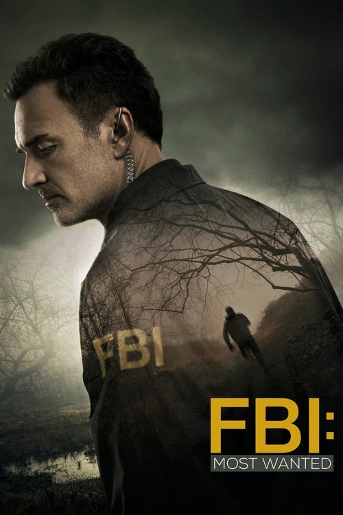 FBI: Most Wanted: 1×4
