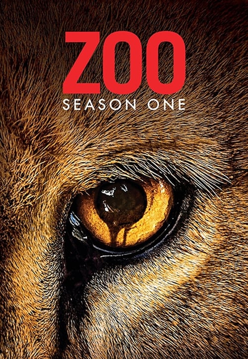 Zoo: 1×3